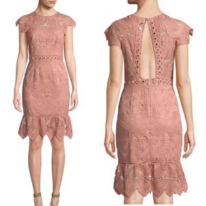 Saylor Joah Scalloped Lace Dress XS Pink girly